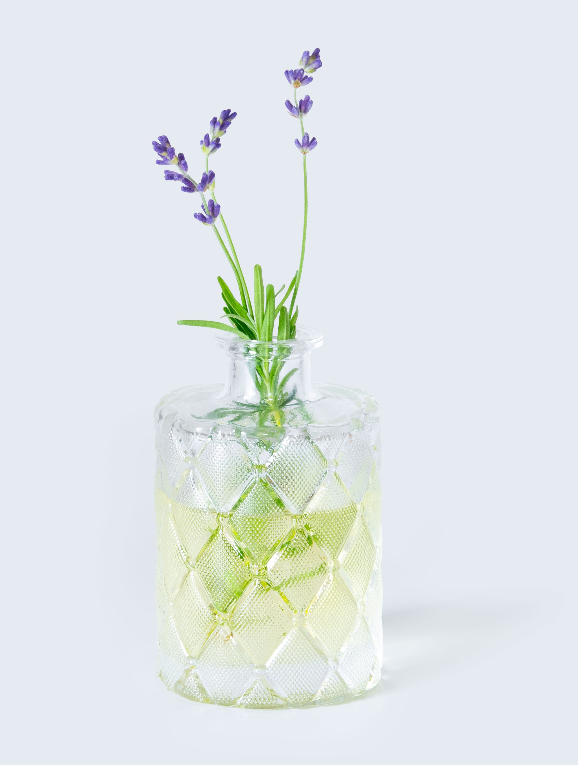 Clear glass vase with geometric pattern filled with water and lavender on a light background