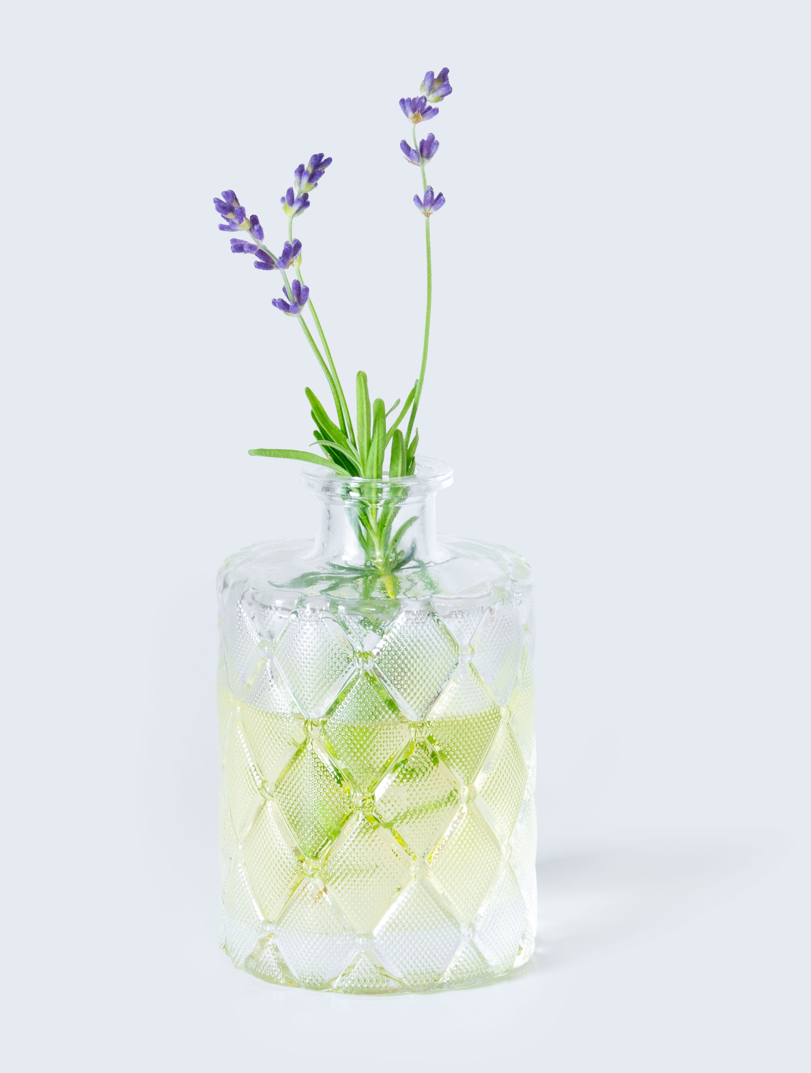 Clear glass vase with geometric pattern filled with water and lavender on a light background
