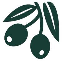 Two olives and leaves