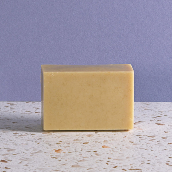 Kakishibu Soap Workshop (Early)