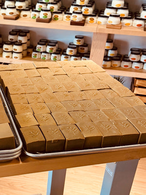 Kakishibu Soap Workshop (Early)