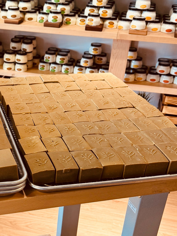 Kakishibu Soap Workshop (Early)